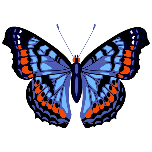 Butterfly Theme Blue And Red Butterfly Transparent Sticker